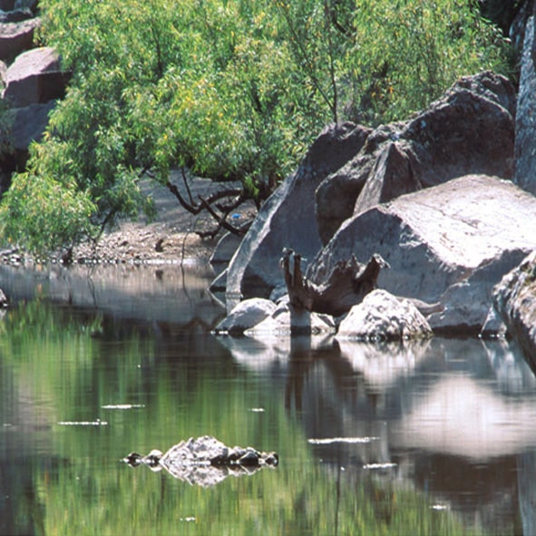 Visitar Yécora – RUTA YÉCORA SONORA, RUTAS TURISTICAS
